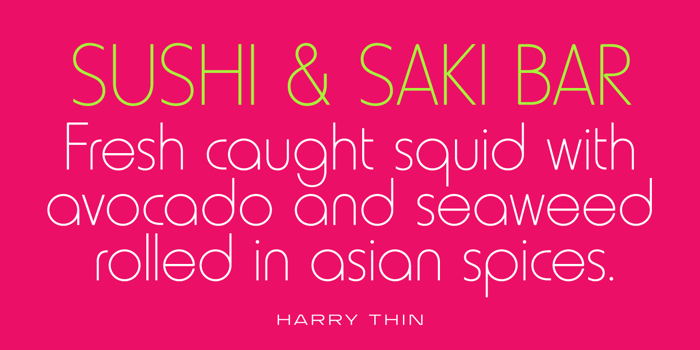 Harry Pro Thin Font preview